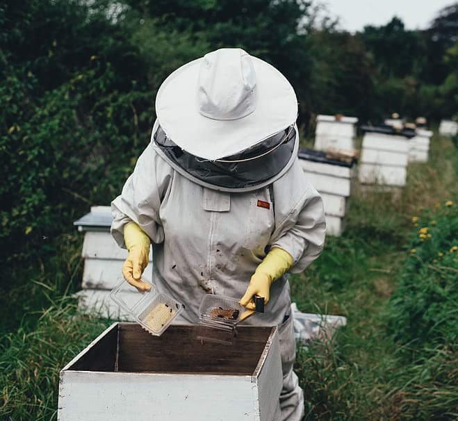 Everything for the Beekeeper